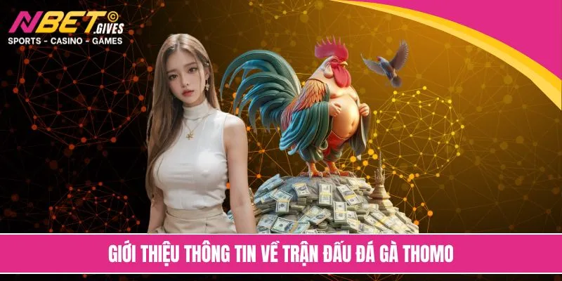 Giới thiệu thông tin về trận đấu đá gà Thomo
